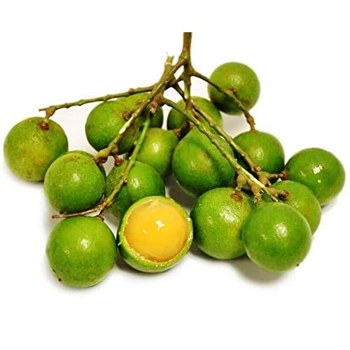 Productos de Temporada